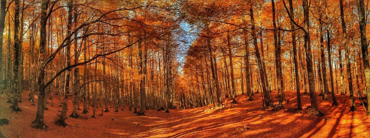 Le Masserie Case Vacanza Villetta Barrea Dış mekan fotoğraf